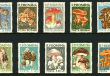 Mantarlı posta pulları