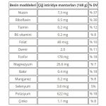 istiridye mantarinin faydalari