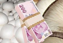 İstiridye mantarı hibe ve devlet desteği para yardımı