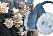 Mantar sporları için hangi maske ve filtre kullanılmalı: Astım bronşit