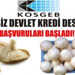 KOSGEB-faizsiz-kredi-destegi-basvurulari-basladi