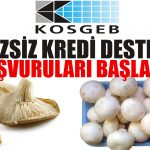 KOSGEB-faizsiz-kredi-destegi-basvurulari-basladi