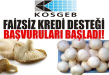 KOSGEB mantar yetiştiriciliği desteği ve faizsiz kredi başvurusu (2017)