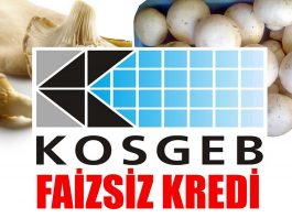 Mantar için KOSGEB Sıfır Faizli Kredi Desteği Başvuruları – 2017