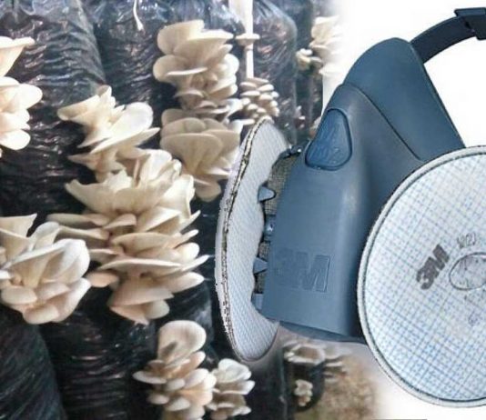 Mantar ve Mantarhane İçin Gaz Maskesi ve Filtresi Hangisi? Mantar sporlarından, tozundan zehirinden zararından poleninden koruyan en uygun gaz maskesi ve filtresi