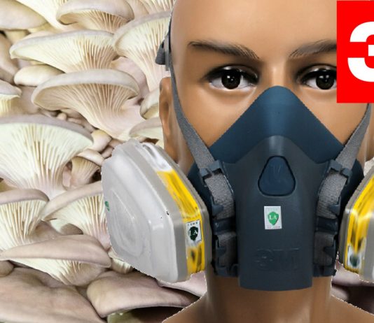 3M Polen Maskesi ve Filtresi Satıyoruz | Mantar Sporu 3M Polen Maskesi ve Filtresi Satıyoruz | Mantar Sporu